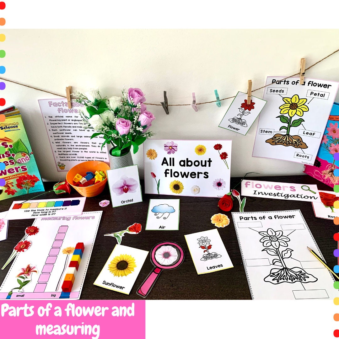 All about flowers - Investigation science center for Preschool