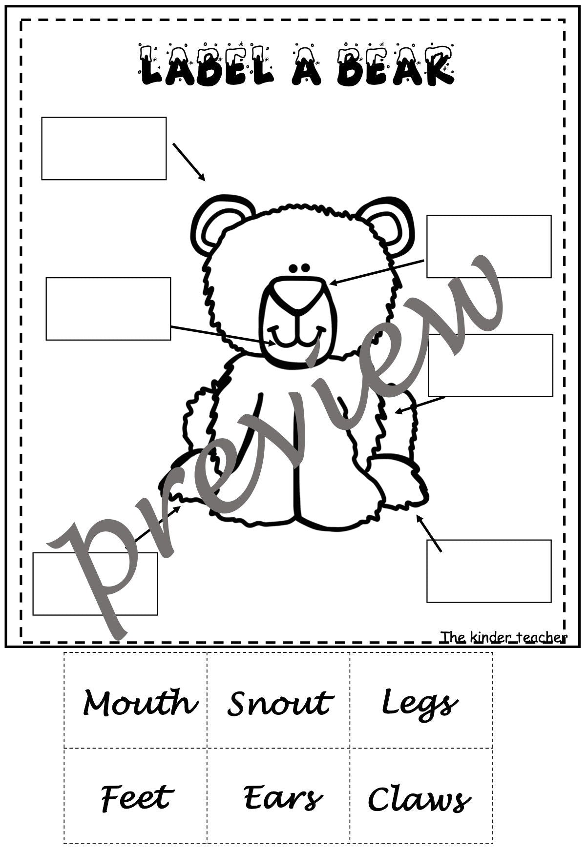 Polar Animals activity booklet