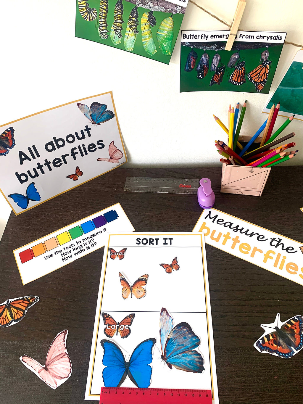 All about butterflies - Investigation science center for Preschool