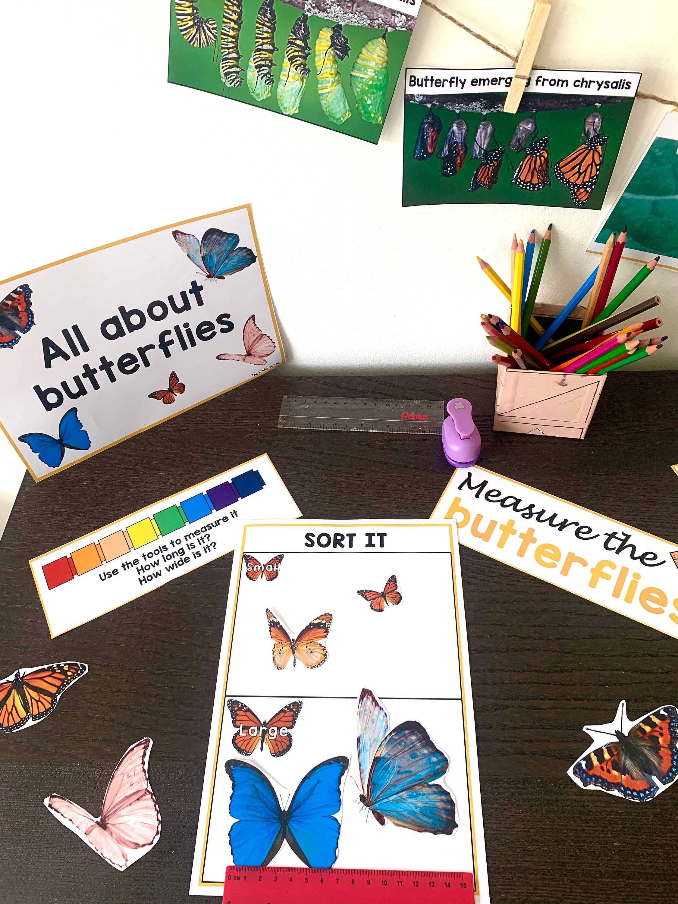 All about butterflies - Investigation science center for Preschool