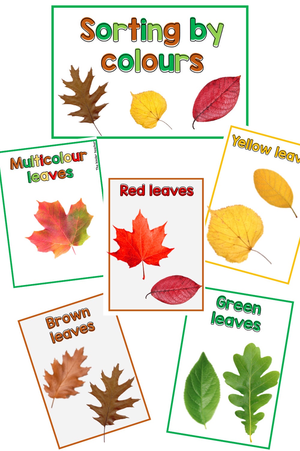 All about trees and leaves - Investigation science center for Preschool