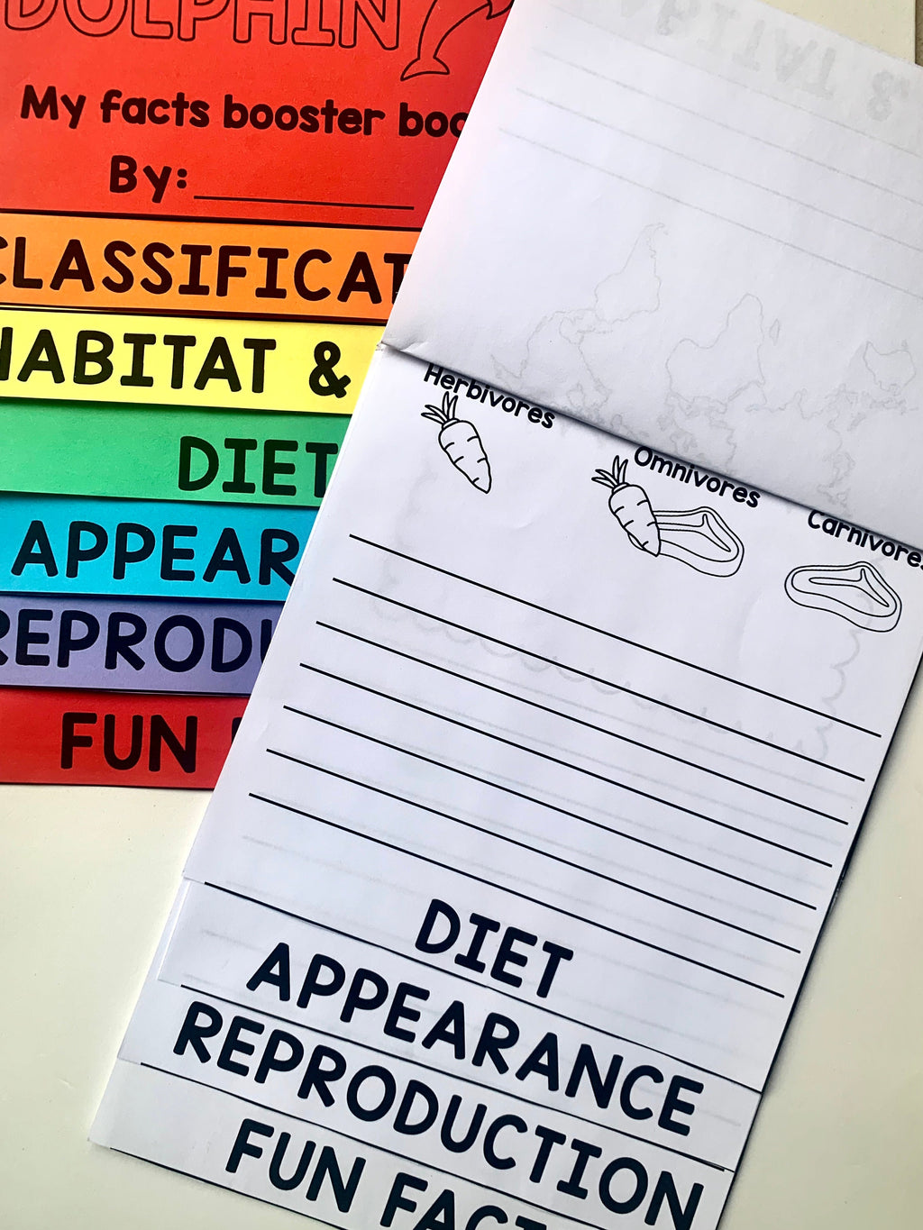 Animals flipbook activity - worksheet - Lapbook