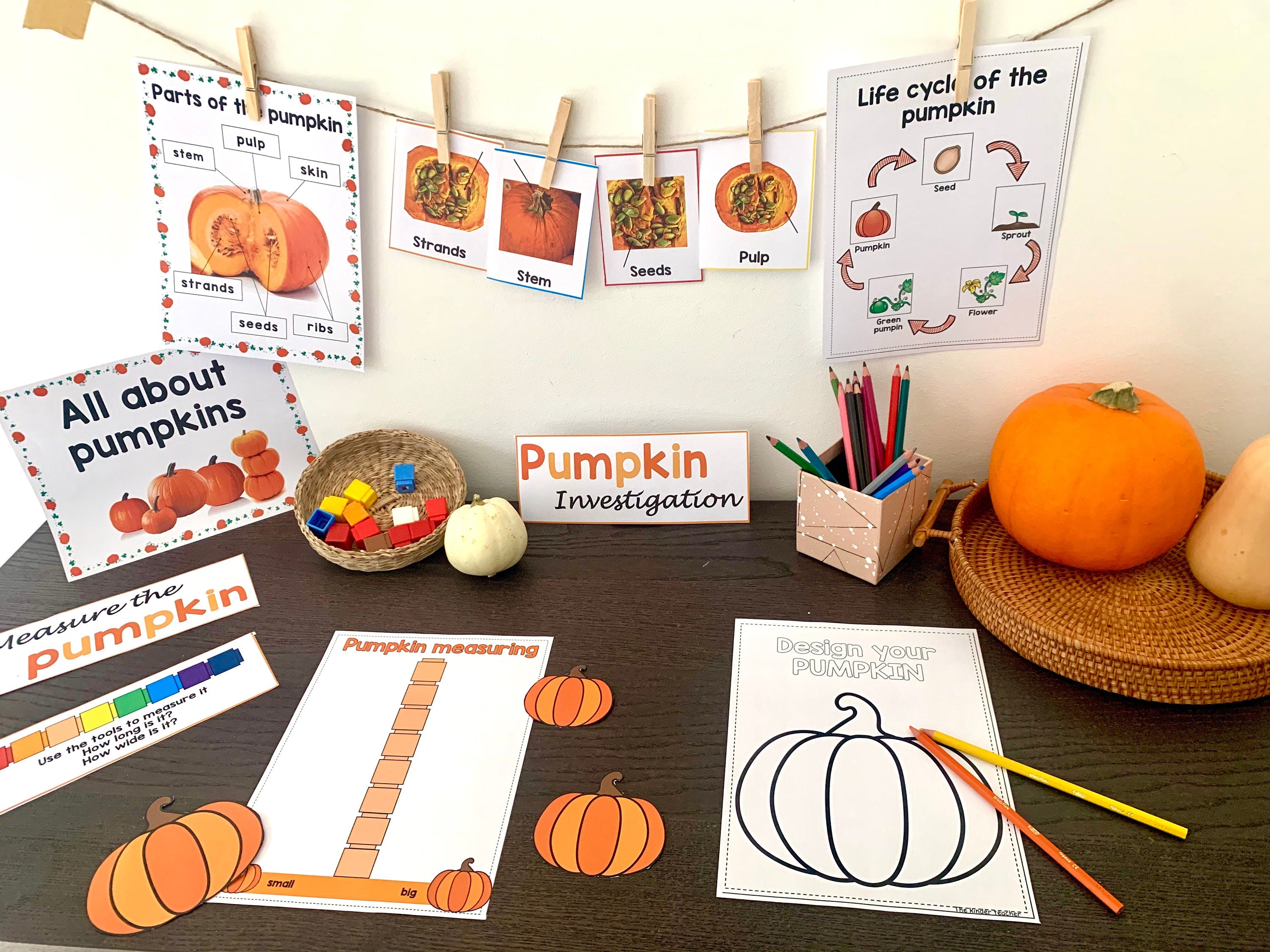 All About Pumpkins - Investigation Science Center for Preschool