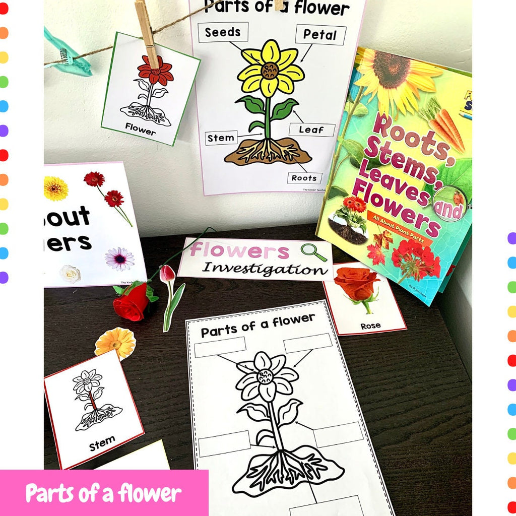 All about flowers - Investigation science center for Preschool