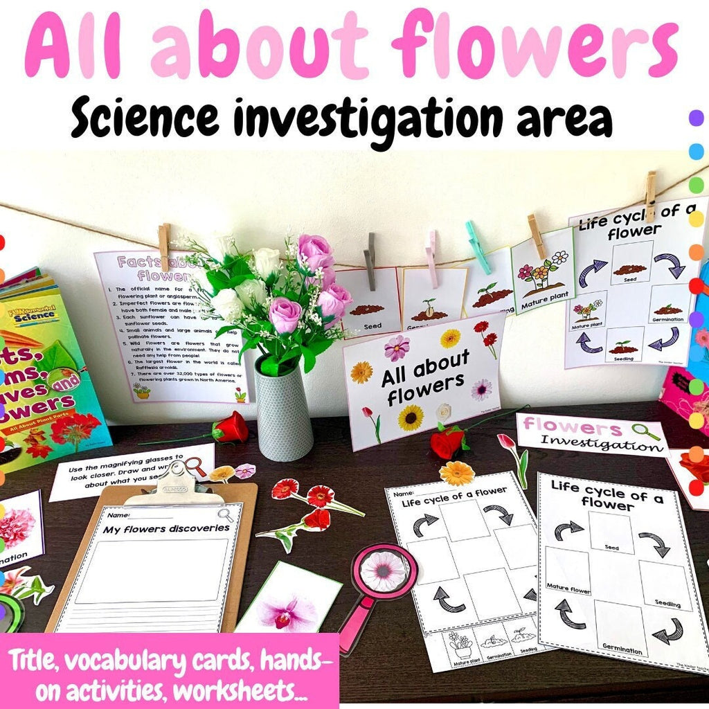 All about flowers - Investigation science center for Preschool