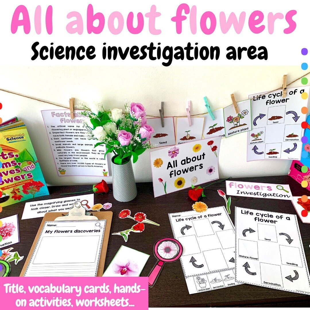 All about flowers - Investigation science center for Preschool