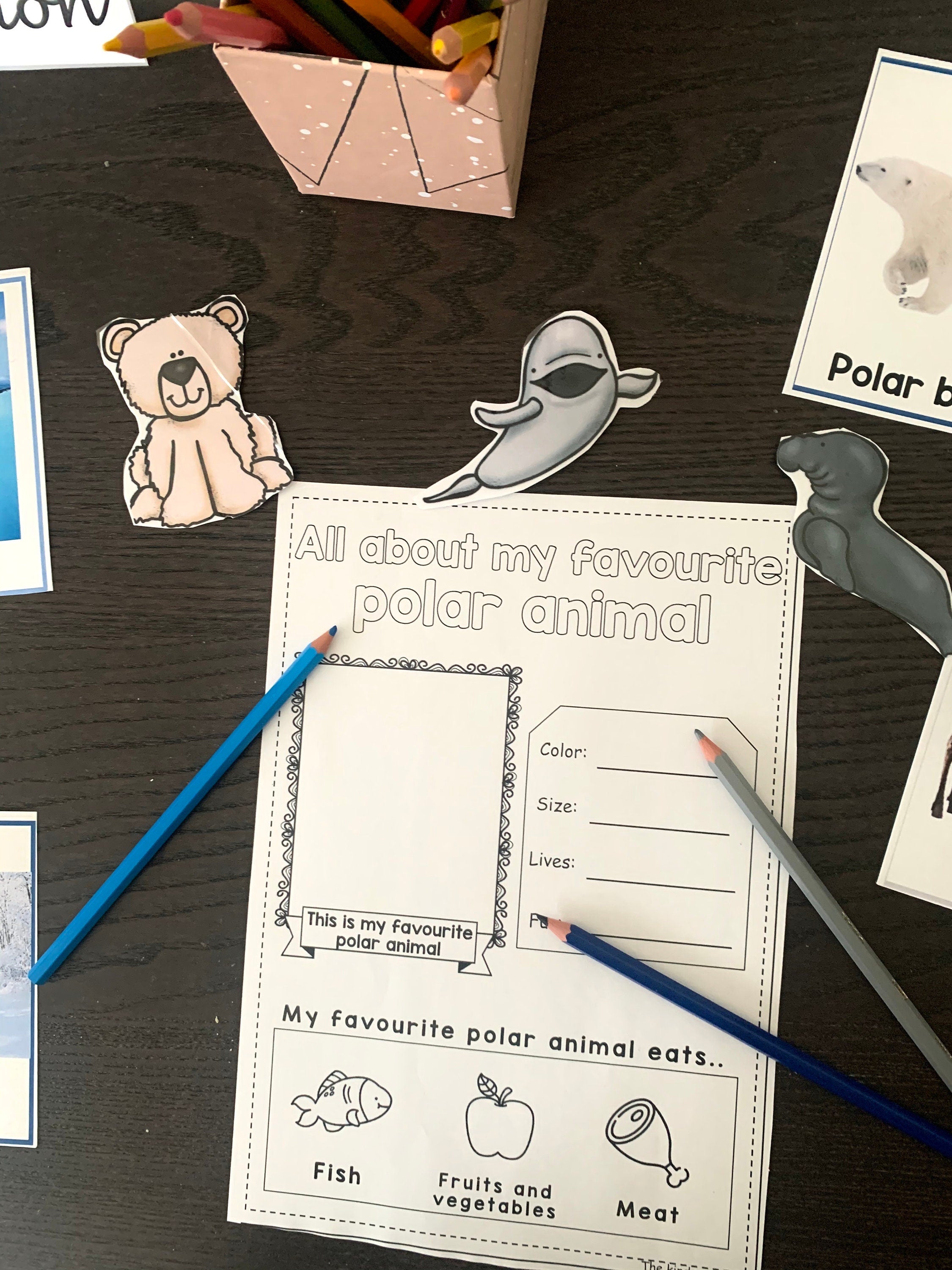 All about polar animals- Investigation science center for Preschool