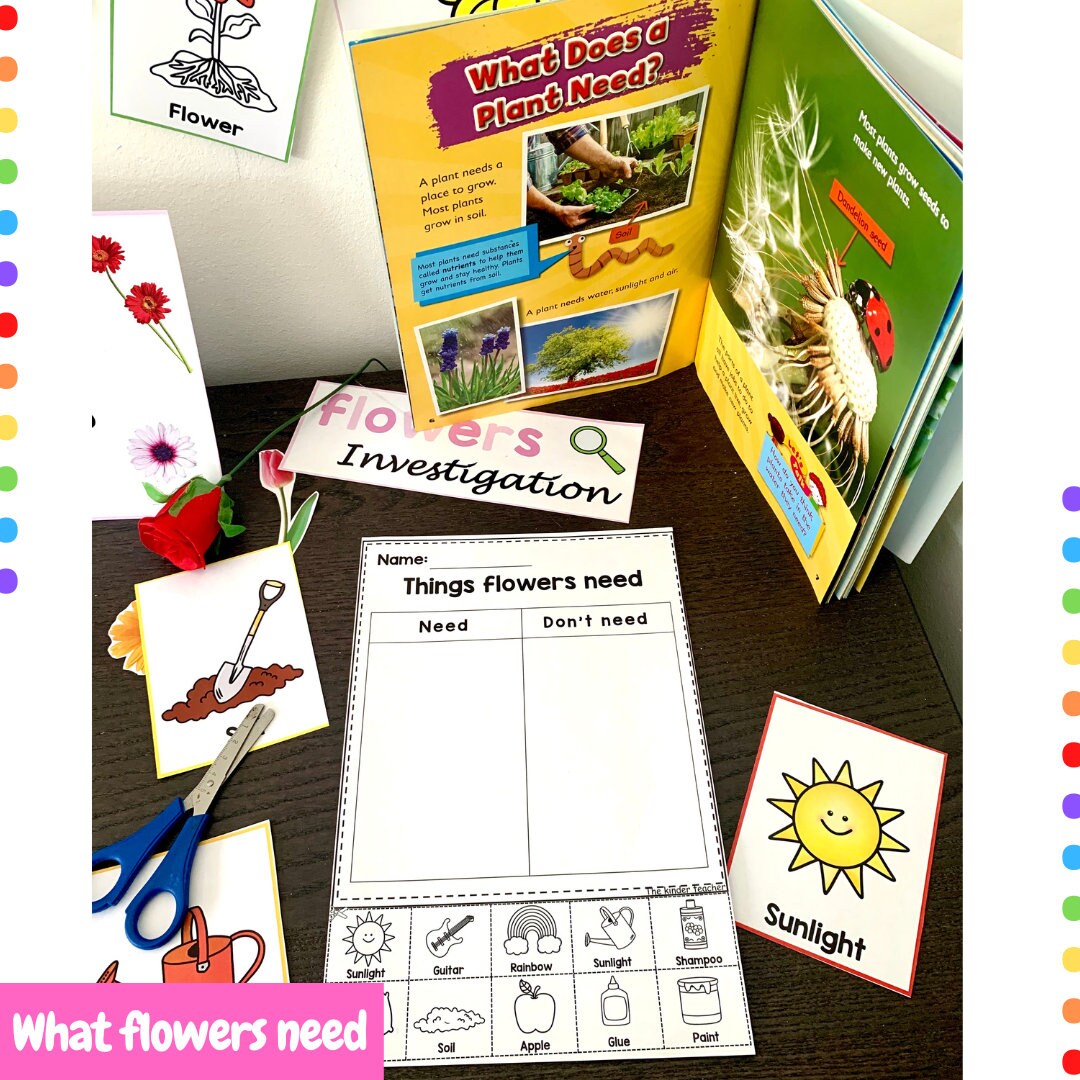 All about flowers - Investigation science center for Preschool