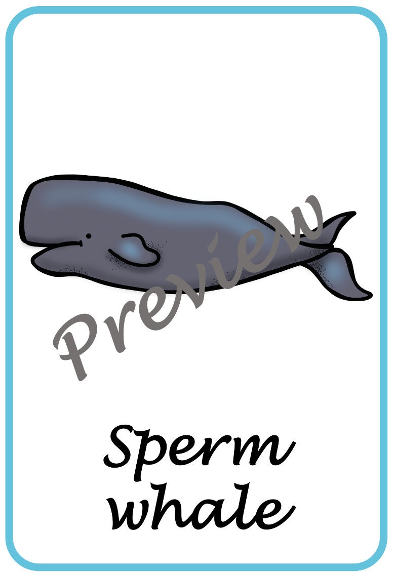 Polar animals classroom posters