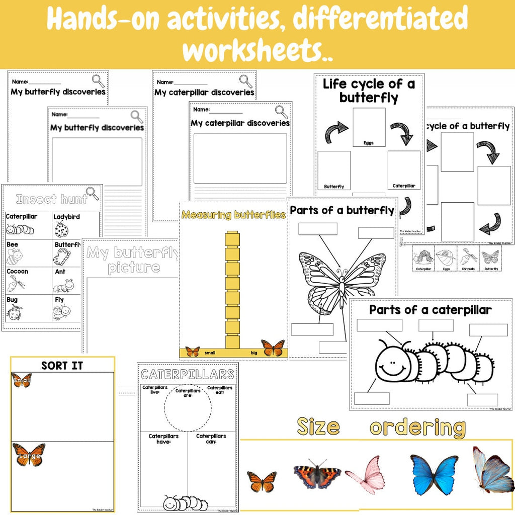 All about butterflies - Investigation science center for Preschool