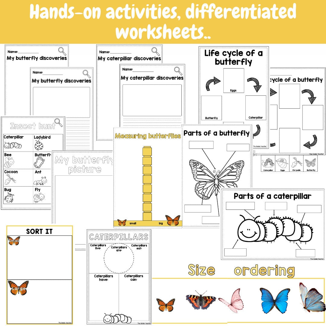 All about butterflies - Investigation science center for Preschool
