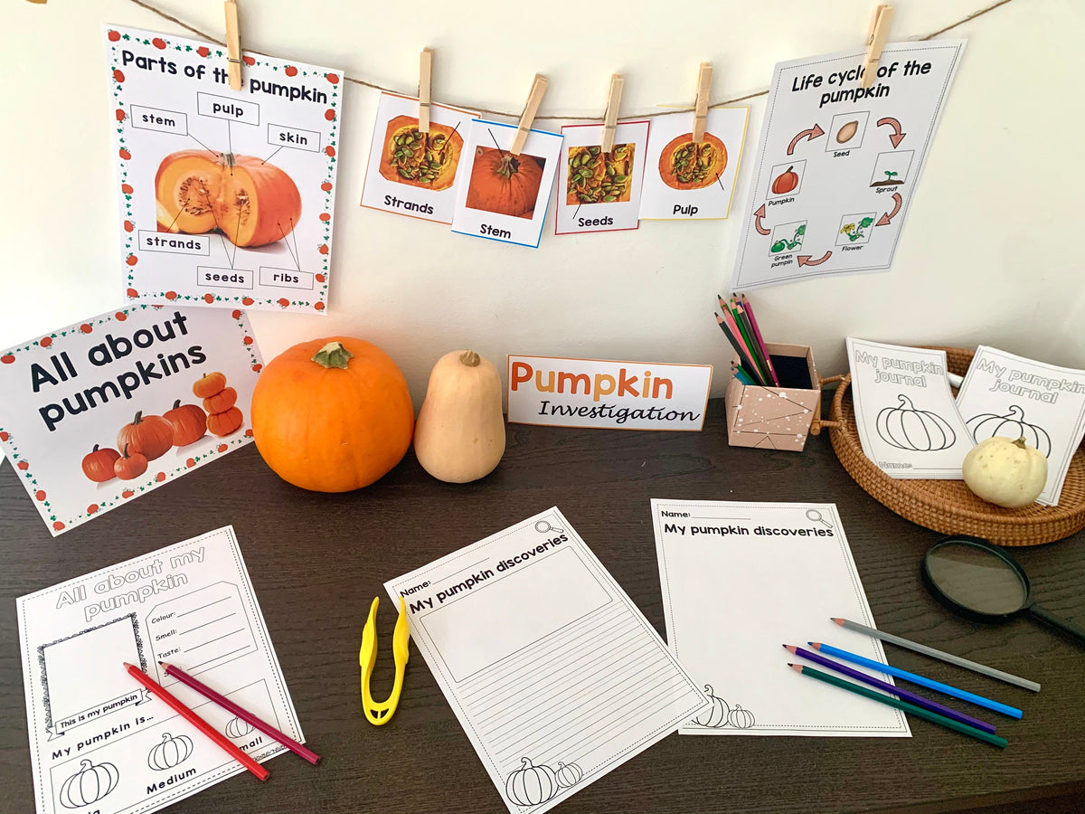 All about pumpkins - Investigation science center for Preschool