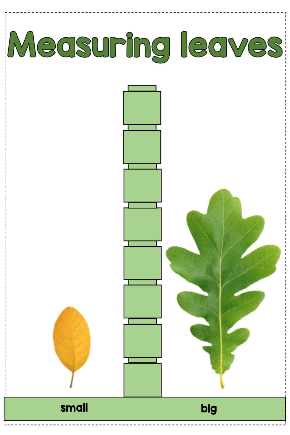 All about trees and leaves - Investigation science center for Preschool