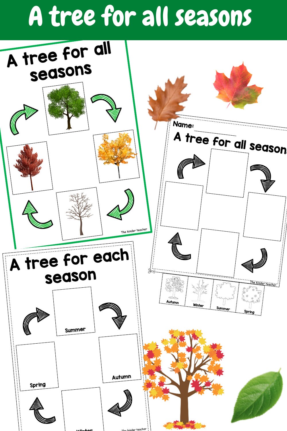All about trees and leaves - Investigation science center for Preschool