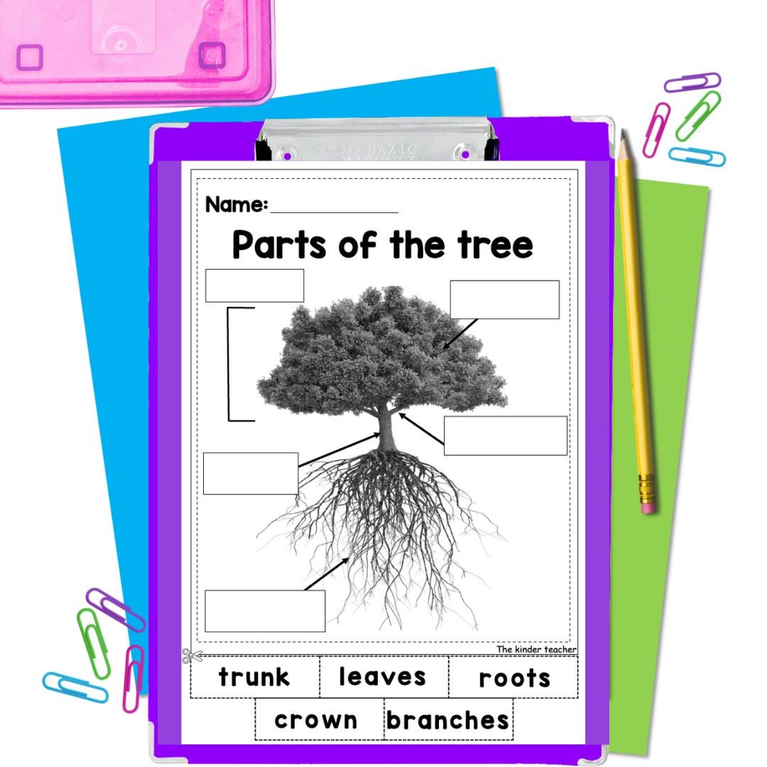 All about trees and leaves - Investigation science center for Preschool