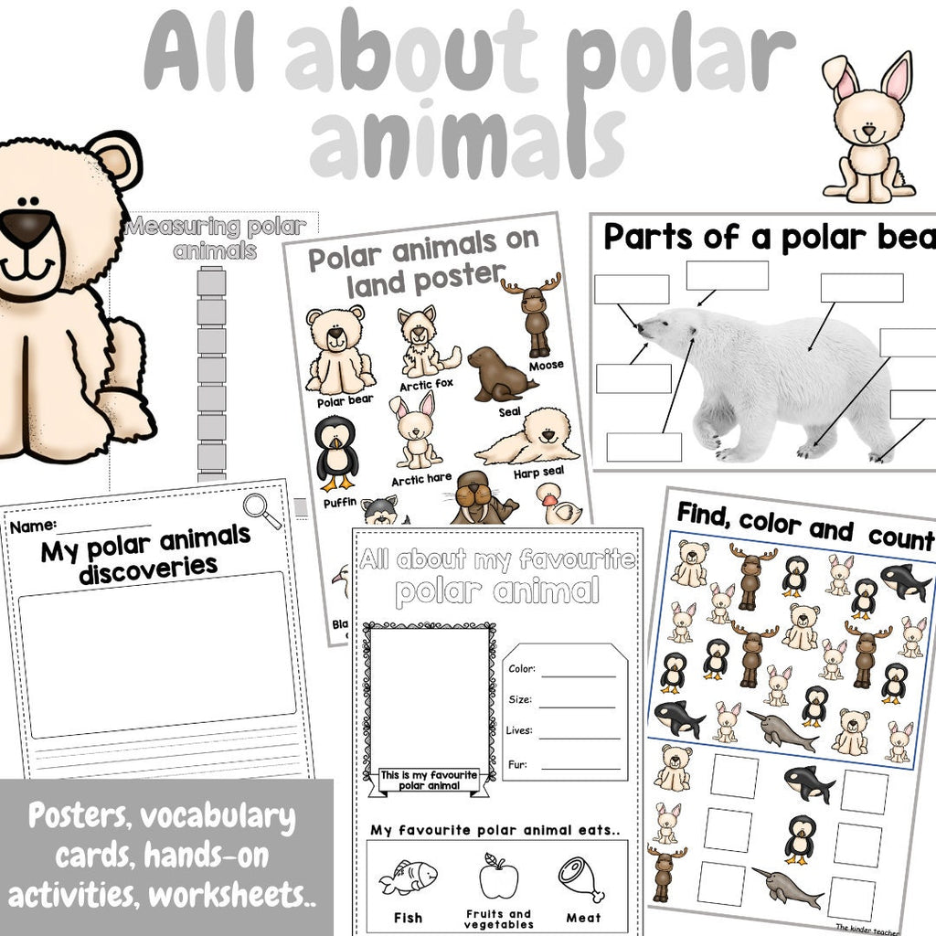 All about polar animals- Investigation science center for Preschool