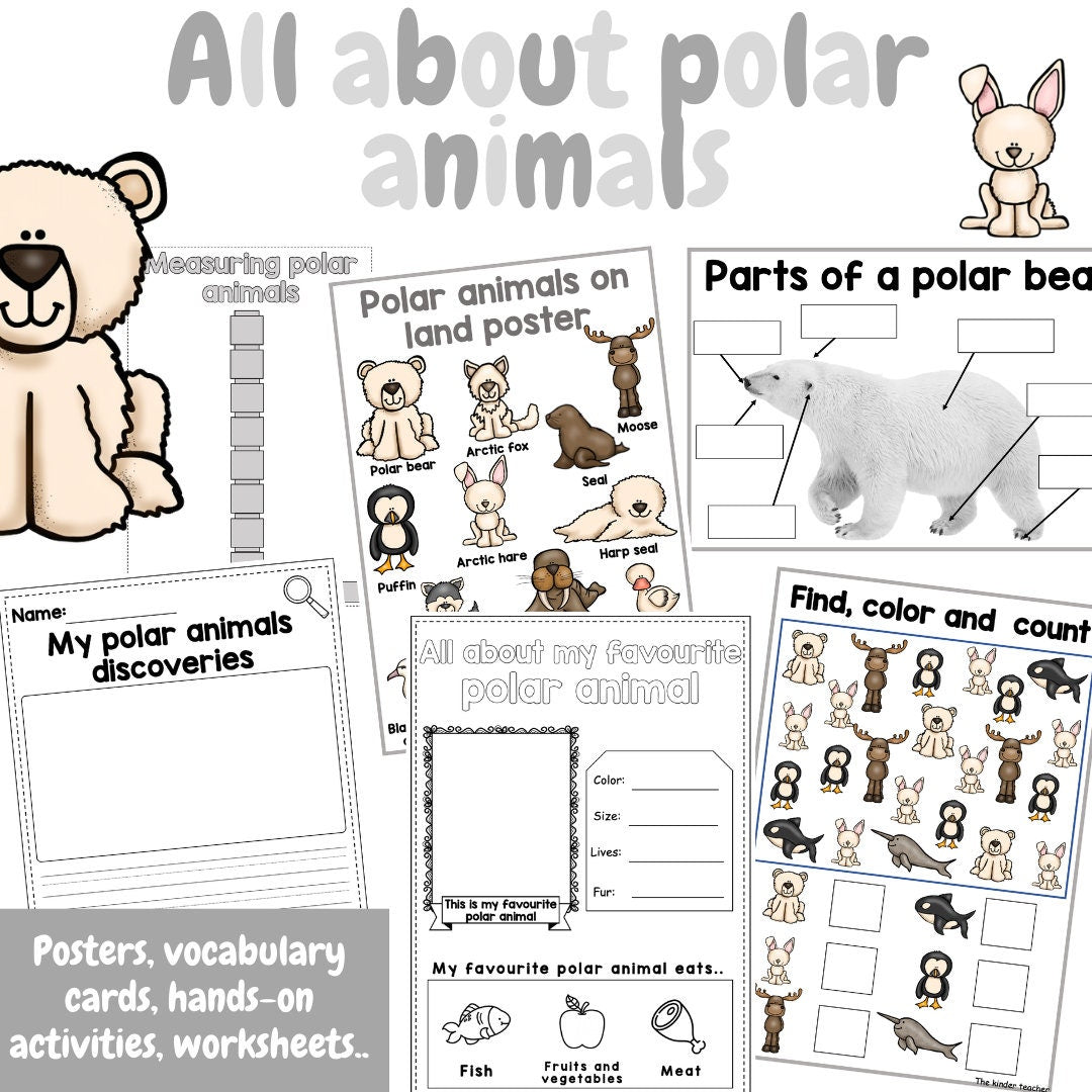 All about polar animals- Investigation science center for Preschool